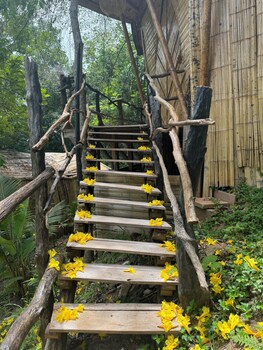 akasha suites
