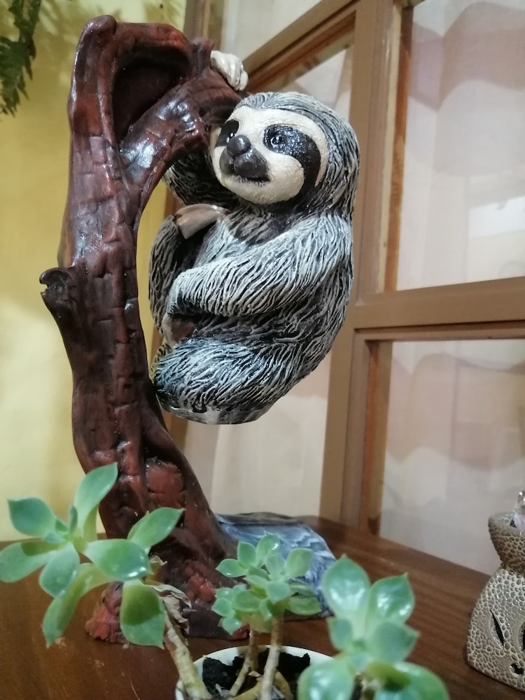 hotel santafe monteverde