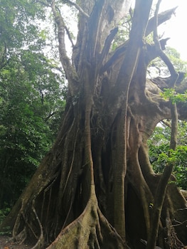 hotel santafe monteverde