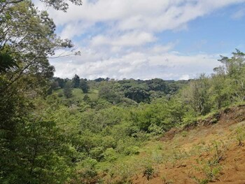 hotel santafe monteverde