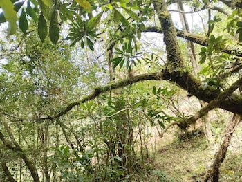 hotel santafe monteverde