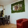 hotel santafe monteverde
