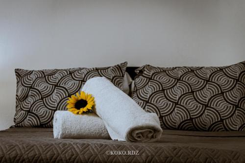 hotel santafe monteverde