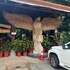 rivas