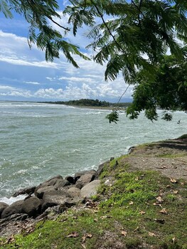 rivas