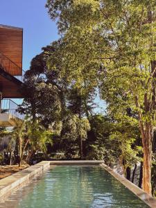 purapura santa teresa