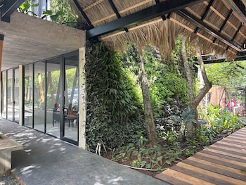 mar botanico avellanas beach hotel