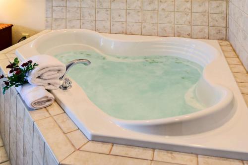 hilton garden inn springfield il