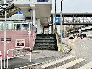 leonberg