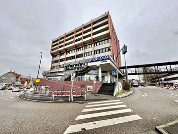 leonberg