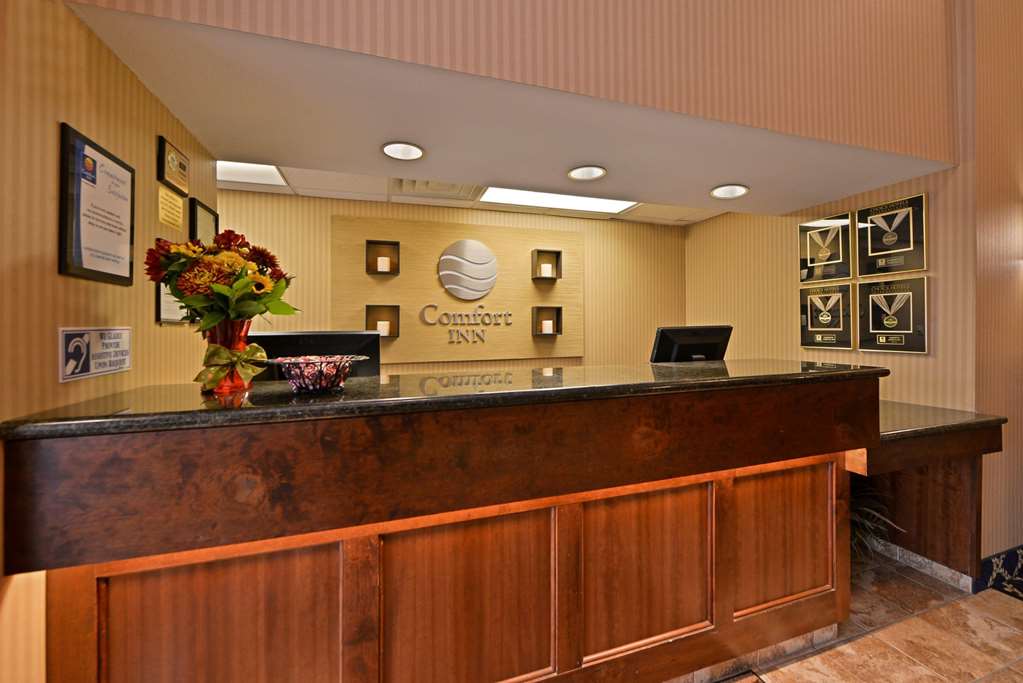 comfort inn albert lea