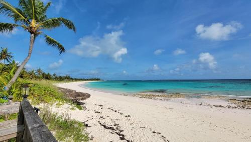 pineapple fields boutique condo hotel