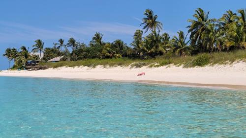 pineapple fields boutique condo hotel