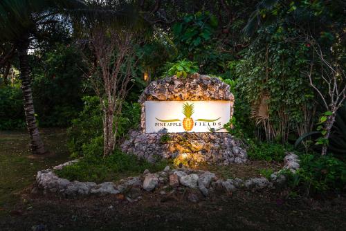 Pineapple Fields Boutique Condo Hotel,Governor's Harbour>>Central Eleuthera,3 star