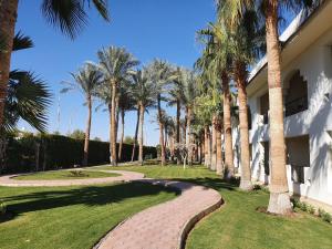 xperience st george homestay