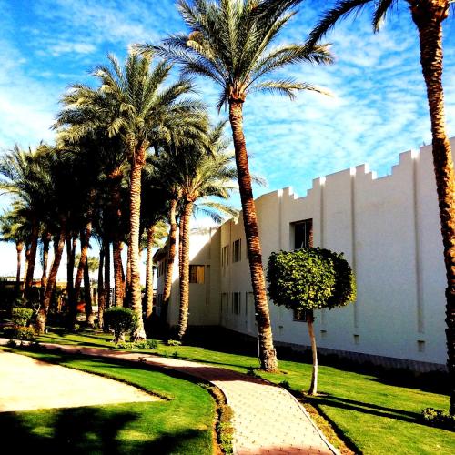 xperience st george homestay