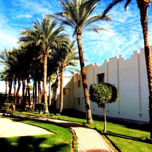 xperience st george homestay