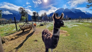 Hotel Natura Patagonia,Peulla>>Petrohue,4 star