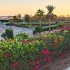 sharm el sheikh