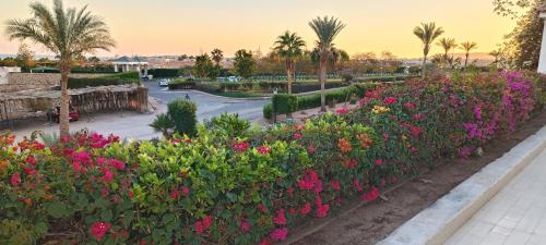 sharm el sheikh