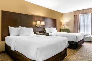 quality inn and suites