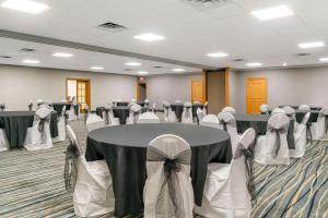 quality inn and suites
