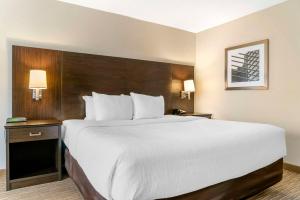 quality inn and suites