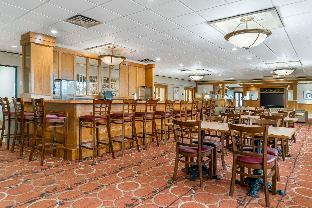 quality inn and suites