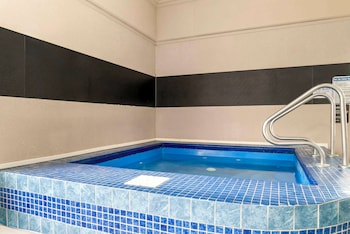 Quality Inn & Suites,Grosse Ile>>Detroit,3 star