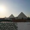 giza