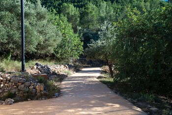 las ermitas de vallada