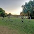 yanchep inn