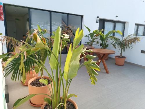 hotel apartamentos hamus