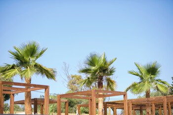 hotel ankaa adults only 14