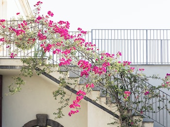 Donna Carmela,Carruba>>Acireale,4 star