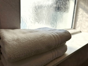 the fig tree shanklin