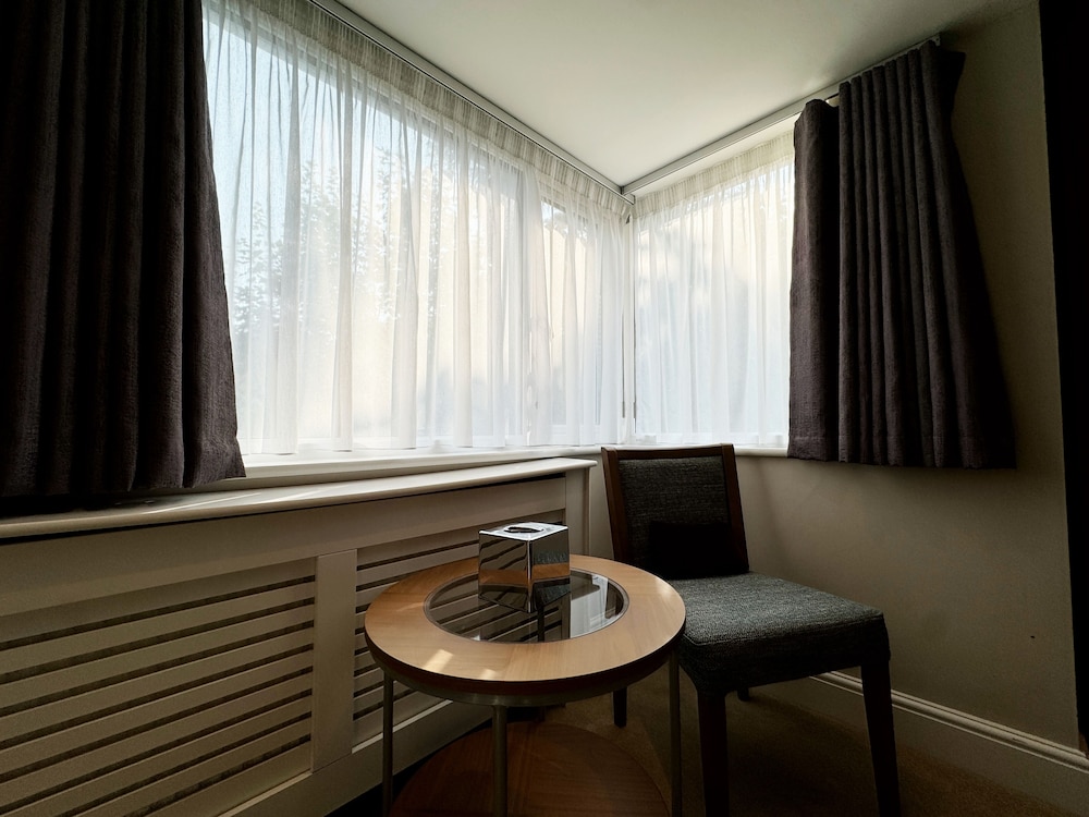 the fig tree shanklin