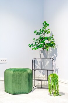 pontcanna jewel cardiff city centre