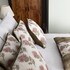 joivy charming 2 bed flat near edinburgh castle