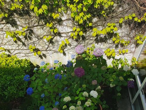 hotel am schlosspark