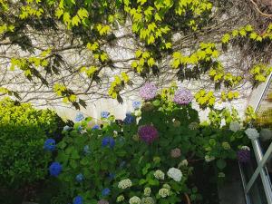 hotel am schlosspark