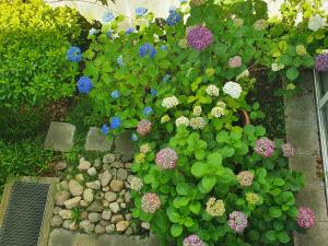 hotel am schlosspark