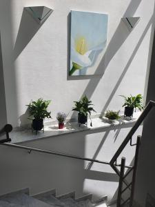 hotel am schlosspark