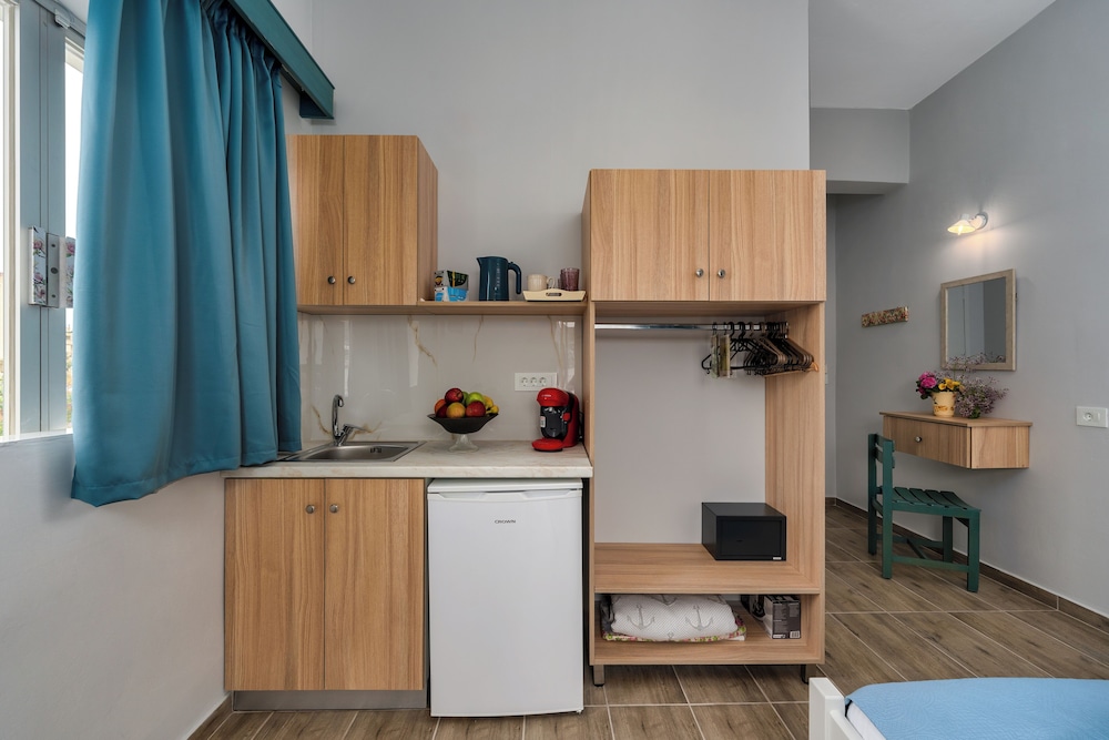 laconia domus plytra