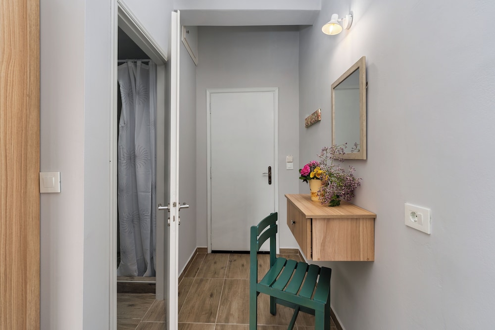 laconia domus plytra