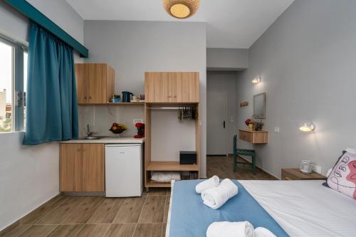 laconia domus plytra