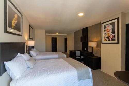 conquistador hotel and conference center