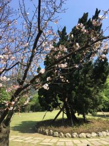 check inn select taipei yangmingshan