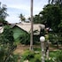 paradise bungalows