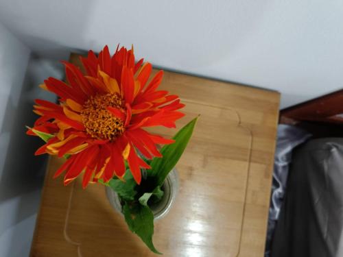 lovely paradise phangan hotel